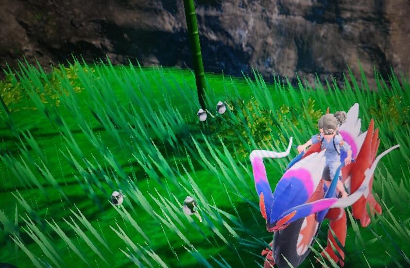 《寶可夢朱紫》抹茶閃在哪刷？刷抹茶閃位置分享