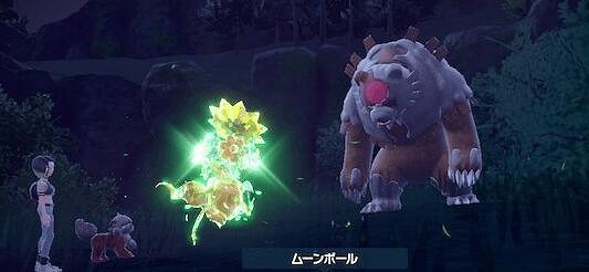 《寶可夢朱紫》月月熊在哪出現?月月熊獲取方法 《寶可夢朱紫》月月熊在哪出現?月月熊獲取方法