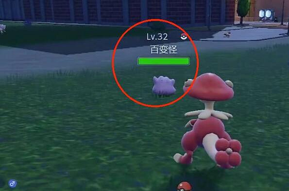 《寶可夢朱紫》百變怪抓捕位置介紹 《寶可夢朱紫》百變怪抓捕位置介紹