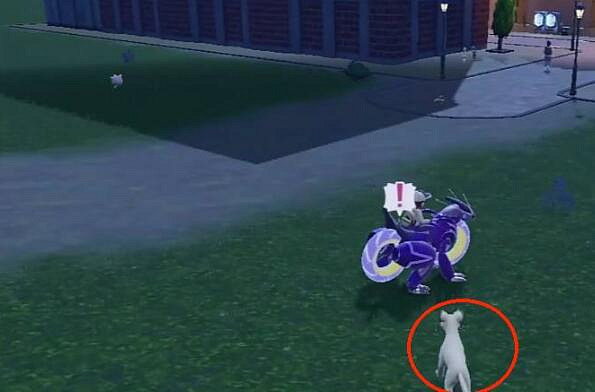 《寶可夢朱紫》百變怪抓捕位置介紹 《寶可夢朱紫》百變怪抓捕位置介紹