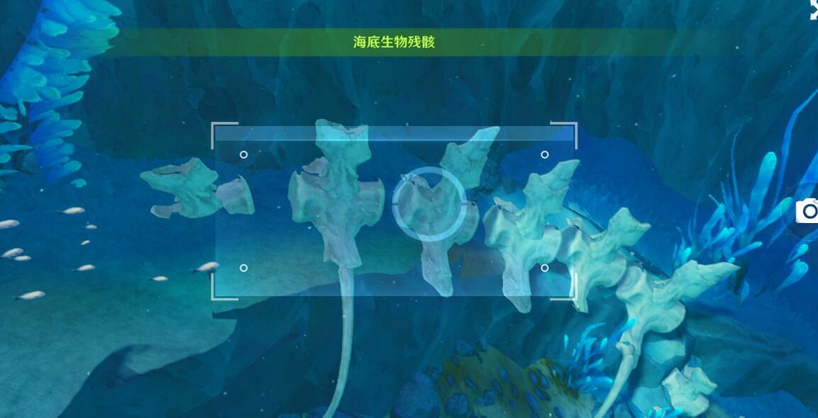 《原神》光影研學旖旎水界第五天拍照位置