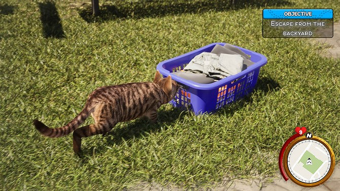 貓咪養成模擬遊戲新作《貓咪生活模擬器》上架Steam!