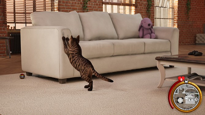 貓咪養成模擬遊戲新作《貓咪生活模擬器》上架Steam!