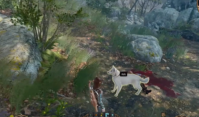 《柏德之門3》雙線操作成就完成方法 《柏德之門3》雙線操作成就完成方法