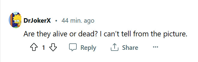 薛定諤的貓?玩家在《星空》薛定諤星系上發現巨型貓 薛定諤的貓?玩家在《星空》薛定諤星系上發現巨型貓