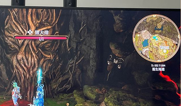 《柏德之門3》蔓生道地門進入方法