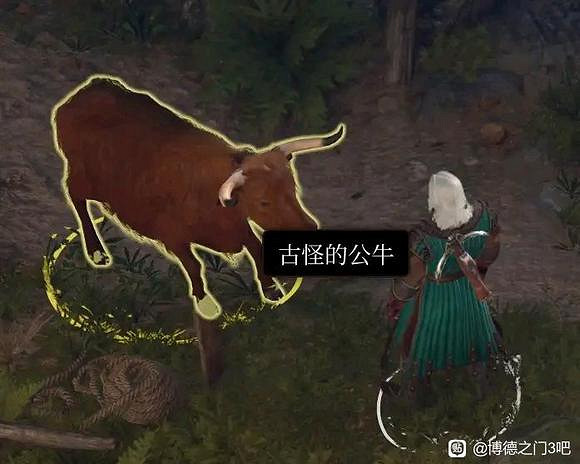 《柏德之門3》變形者之戒獲取教學