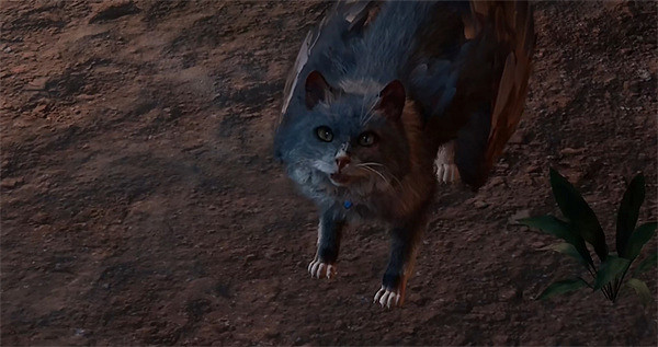 《柏德之門3》起源角色開局劇情區別