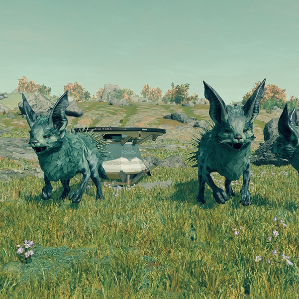 薛定諤的貓?玩家在《星空》薛定諤星系上發現巨型貓 薛定諤的貓?玩家在《星空》薛定諤星系上發現巨型貓