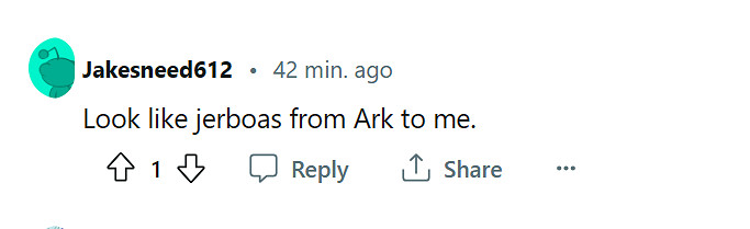 薛定諤的貓?玩家在《星空》薛定諤星系上發現巨型貓 薛定諤的貓?玩家在《星空》薛定諤星系上發現巨型貓