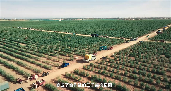 原神又一公益項目收官,希望合唱團取得成功 原神又一公益項目收官,希望合唱團取得成功