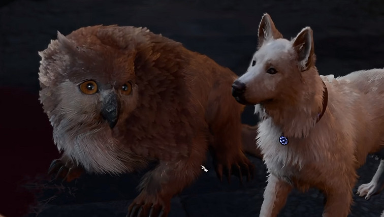 《柏德之門3》雙線操作成就完成方法 《柏德之門3》雙線操作成就完成方法