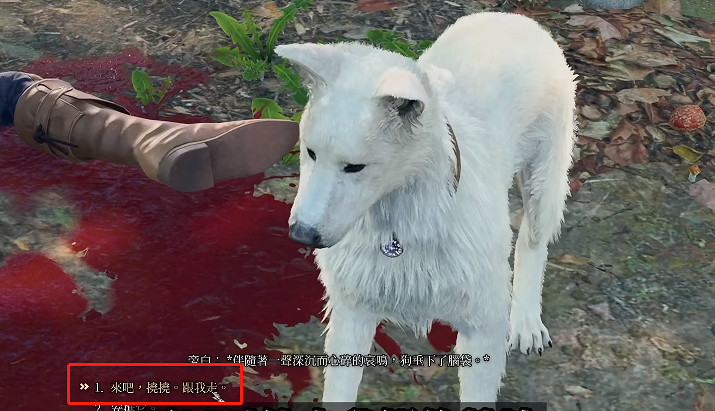 《柏德之門3》雙線操作成就完成方法 《柏德之門3》雙線操作成就完成方法