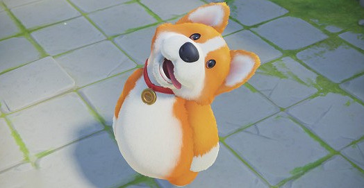 《猛獸派對》表情包最新分享