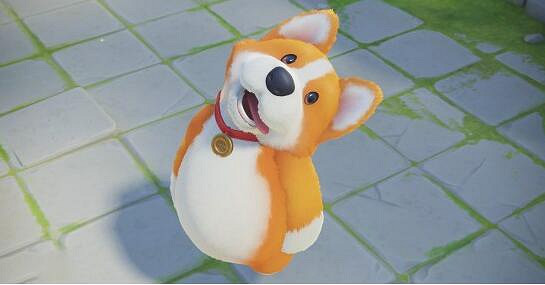 《猛獸派對》登錄失敗原因介紹