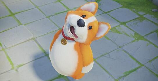 《猛獸派對》人數限制介紹