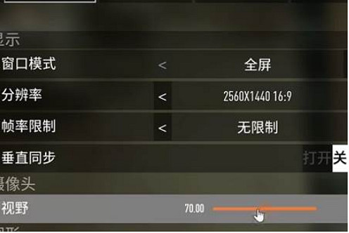 《劫薪日3》畫質設定方法 《劫薪日3》畫質設定方法