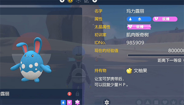 《寶可夢朱紫》瑪力露麗培養攻略