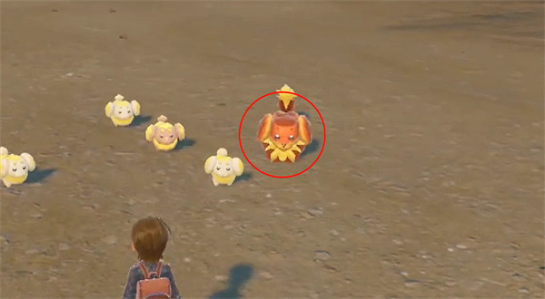 《寶可夢朱紫》狗仔包的獲取方法 《寶可夢朱紫》狗仔包的獲取方法