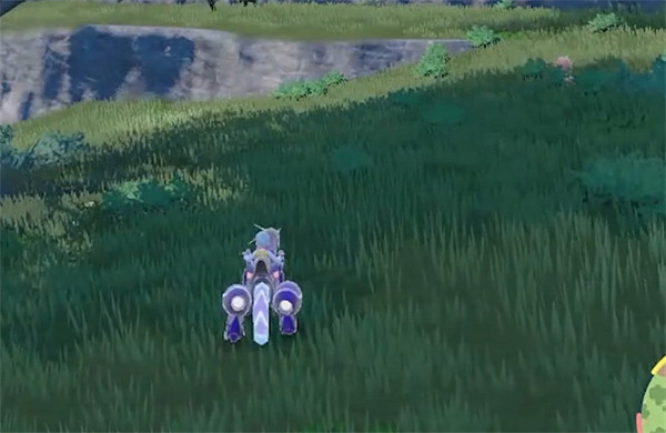 《寶可夢朱紫》藏飽栗鼠刷閃攻略介紹