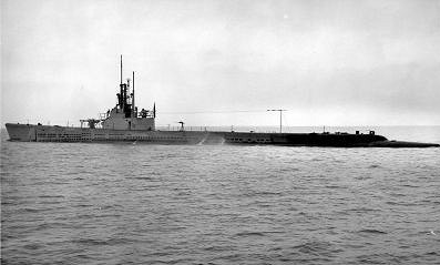 《碧藍航線》藍鰓魚原型介紹 白鷹新增SR潛艇藍鰓魚簡介