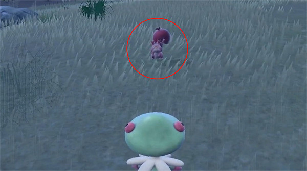 《寶可夢朱紫》藏飽栗鼠刷閃攻略介紹