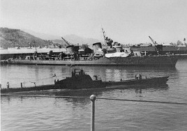 《碧藍航線》塔什幹原型介紹 北方聯合SSR驅逐塔什幹