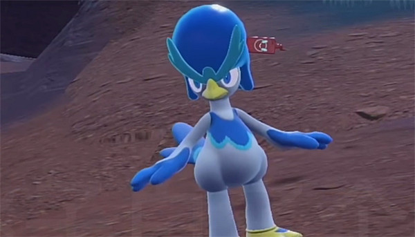 《寶可夢朱紫》水禦三家介紹 《寶可夢朱紫》水禦三家介紹