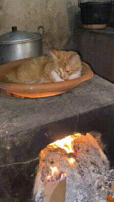 這絕對是隔壁老王吧 動圖 缺德地圖持續為您導航！