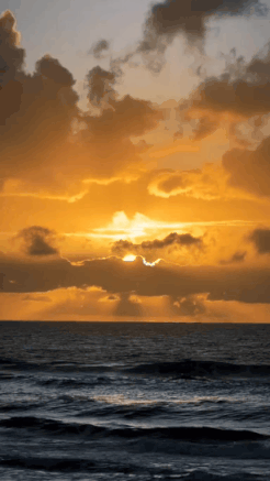 這絕對是隔壁老王吧 動圖 缺德地圖持續為您導航！