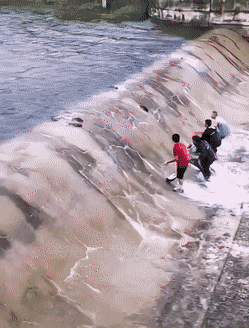 這絕對是隔壁老王吧 動圖 缺德地圖持續為您導航！