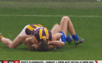 這絕對是隔壁老王吧 動圖 缺德地圖持續為您導航！