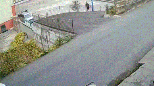 這絕對是隔壁老王吧 動圖 缺德地圖持續為您導航！