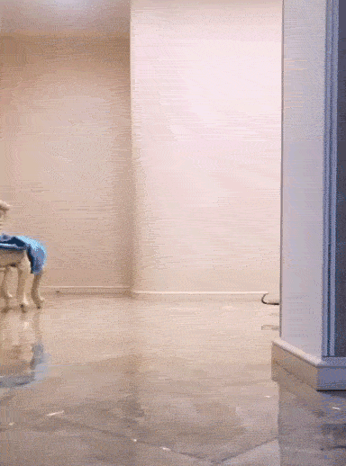 這絕對是隔壁老王吧 動圖 缺德地圖持續為您導航！