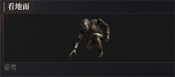 《P 的謊言》姿勢獲得方法