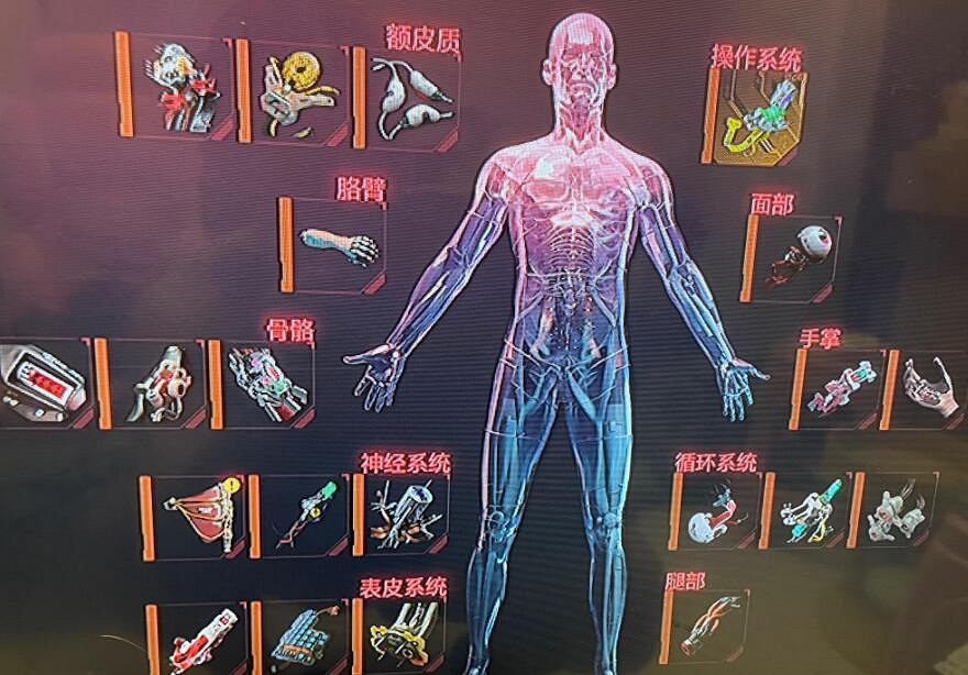 《電馭叛客2077》2.0最強刀劍流義體分享 2.0刀劍流義體選什麽? 《電馭叛客2077》2.0最強刀劍流義體分享 2.0刀劍流義體選什麽?