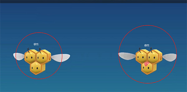 《寶可夢朱紫》精靈性別分辨方法介紹