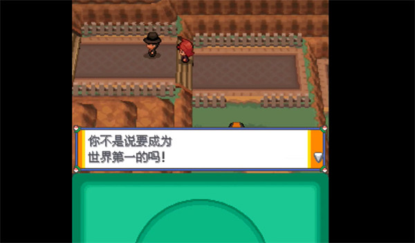 《寶可夢朱紫》桐樹林介紹