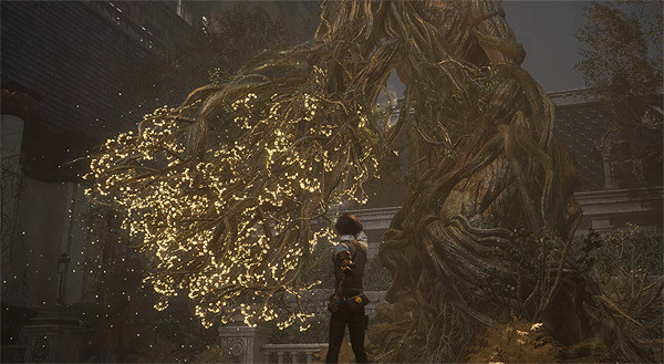 《P 的謊言》章節數量介紹 《P 的謊言》章節數量介紹