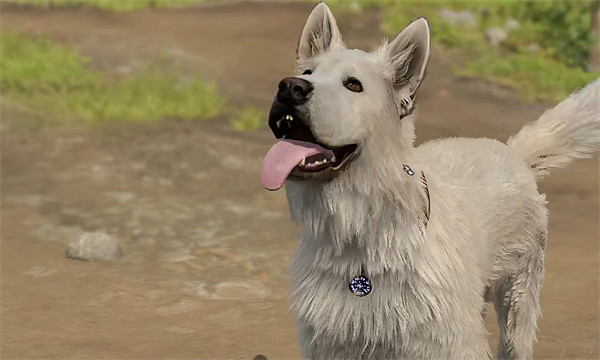 《柏德之門3》撓撓不見了解決方案 《柏德之門3》撓撓不見了解決方案