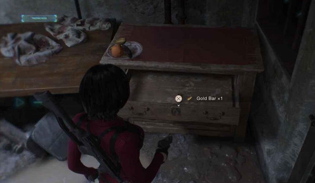 《惡靈古堡4重製版》艾達篇第三章物品收集