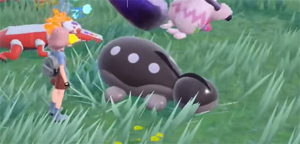 《寶可夢朱紫》動畫人氣寶可夢介紹