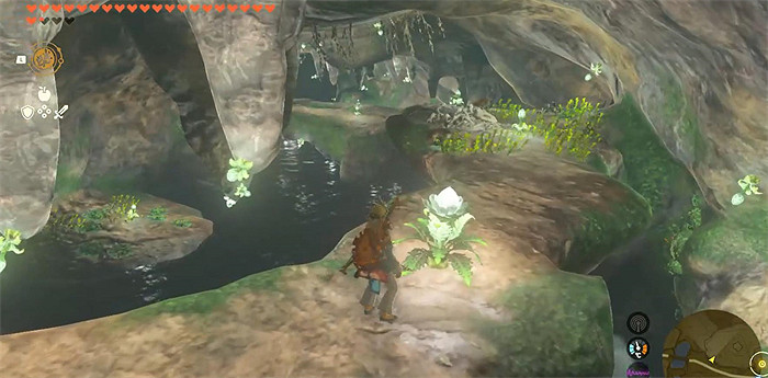 《王國之淚》洞穴在被玩家完全點亮後:簡直太壯觀了! 《王國之淚》洞穴在被玩家完全點亮後:簡直太壯觀了!