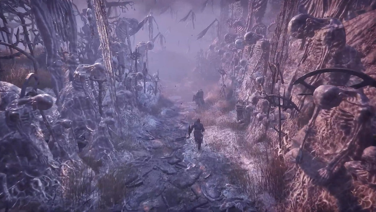 類魂新作《墮落之主》新預告 介紹遊戲的世界和故事 類魂新作《墮落之主》新預告 介紹遊戲的世界和故事