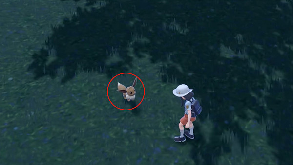 《寶可夢朱紫》伊布性別介紹