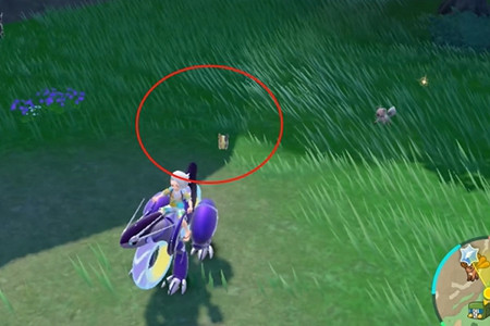 《寶可夢朱紫》莫魯貝可在哪抓？ 莫魯貝可捕捉位置介紹