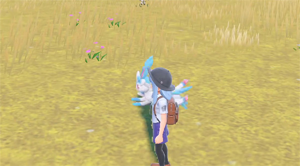 《寶可夢朱紫》伊布家族介紹