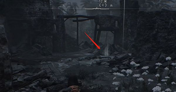 《刺客教條幻景》金色無形者收集方法