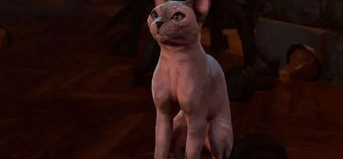 《柏德之門3》新熱修更新檔上線 響應玩家抗議恢復光溜溜人氣貓