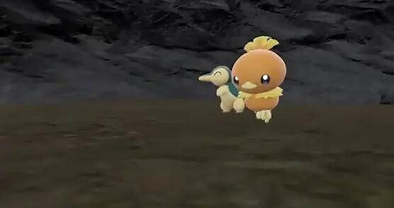 《寶可夢朱紫》藍之圓盤可遇見前代禦三家一覽